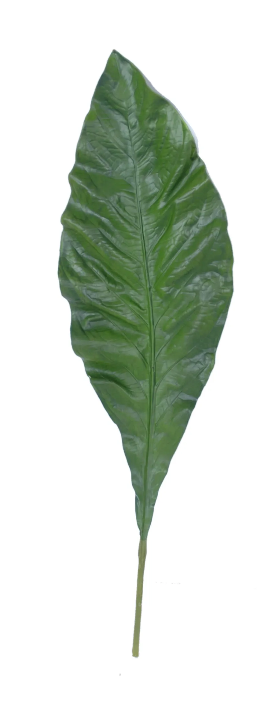 FANCY - Umelá rastlina Anthurium s vtáčím hniezdom