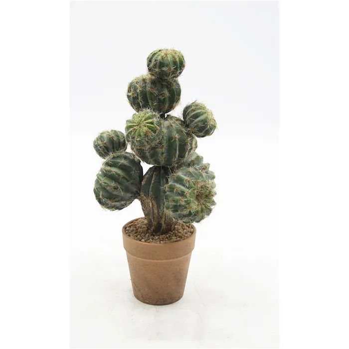 FANCY - Umelý kaktus Opuntia Echios