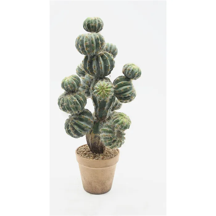 FANCY - Umelý kaktus Opuntia Echios