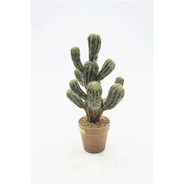 FANCY - Umelý kaktus Opuntia Echios