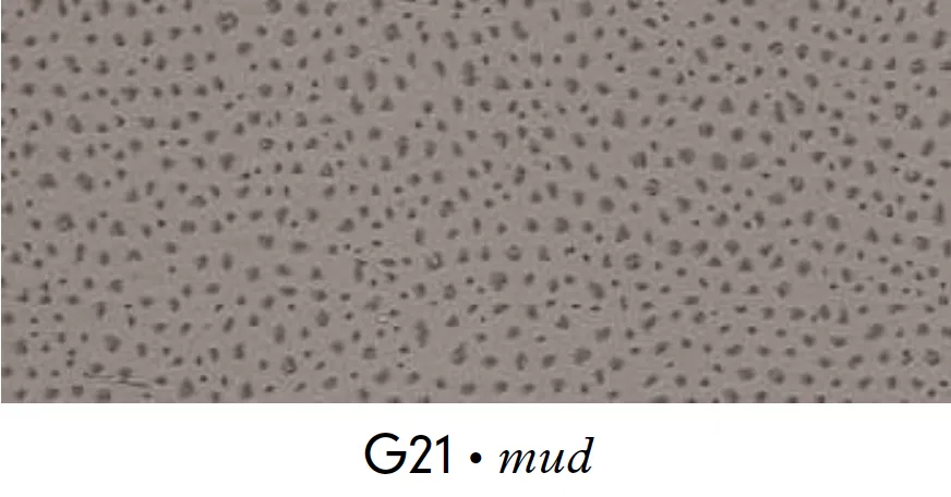 GIOBAGNARA - Kôš na papier s vrchnákom BRUS